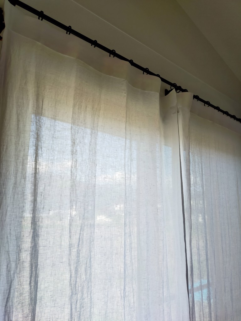 投稿写真