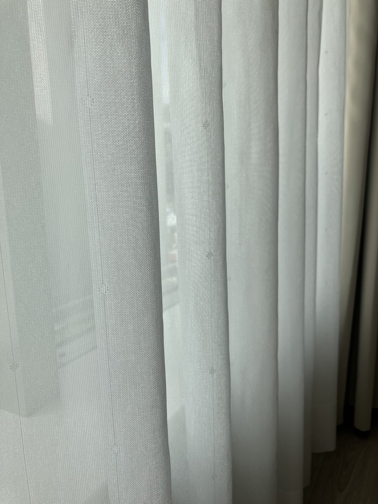 投稿写真