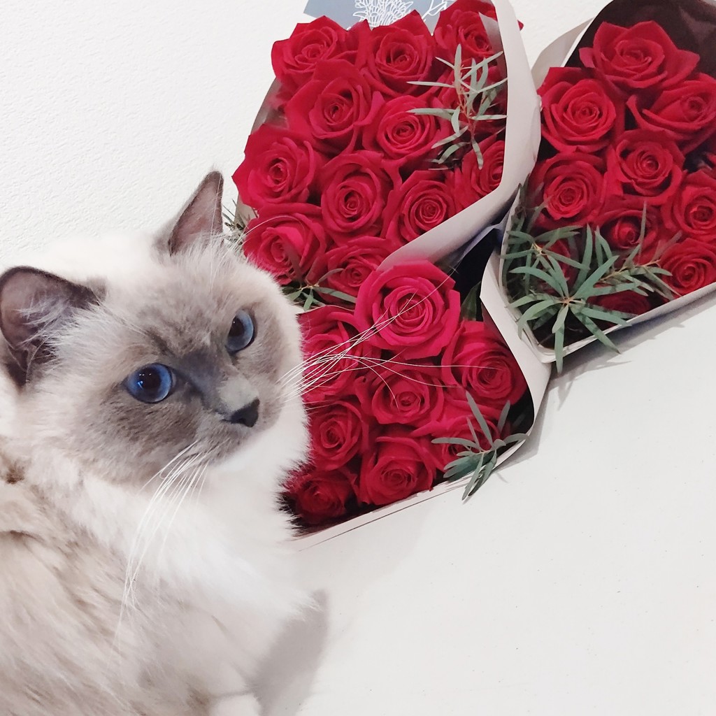 ユーザー写真
