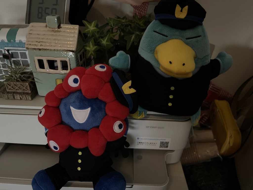 投稿写真