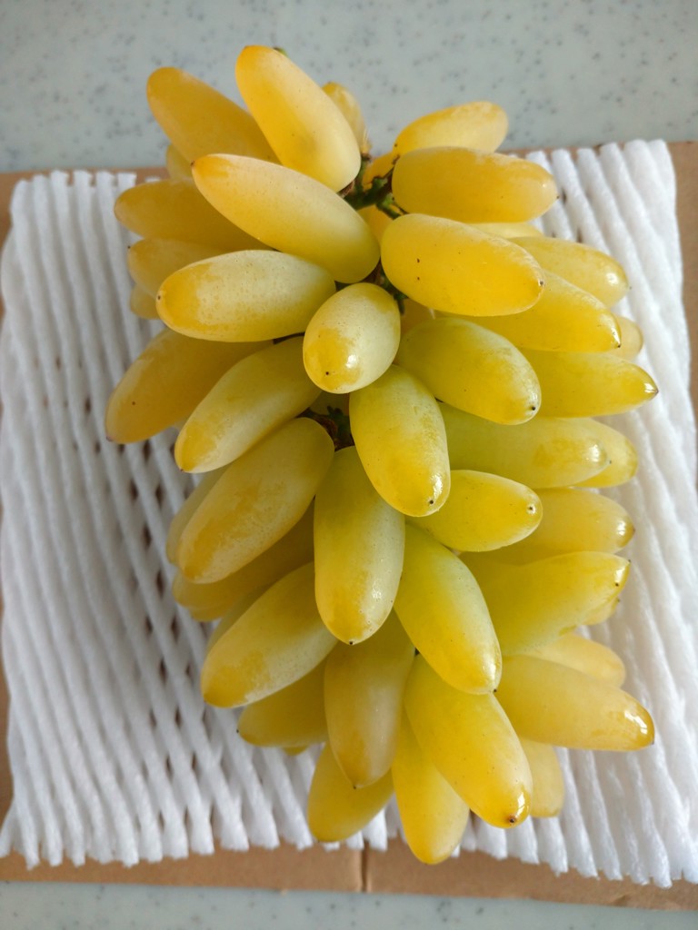 ユーザー写真
