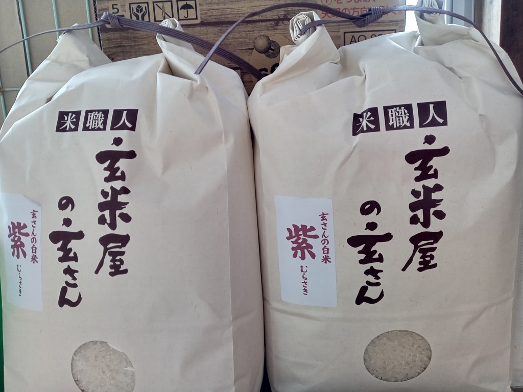 投稿写真