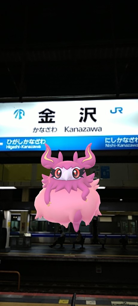 投稿写真