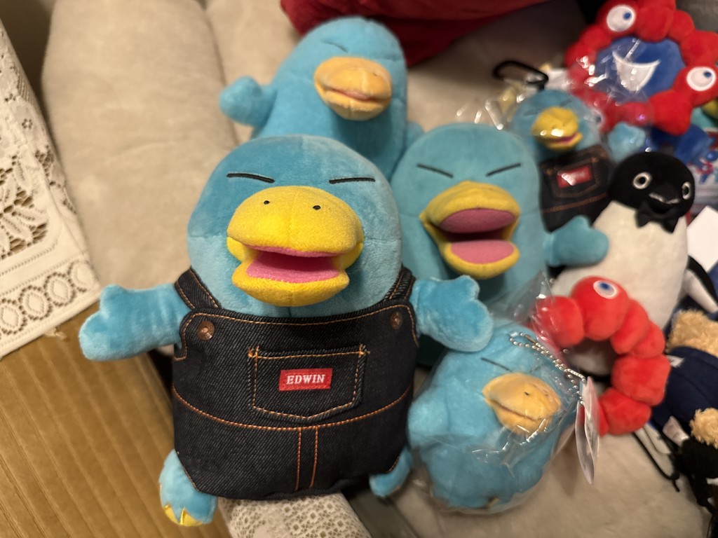 投稿写真