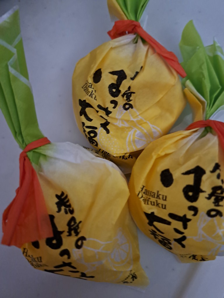 投稿写真