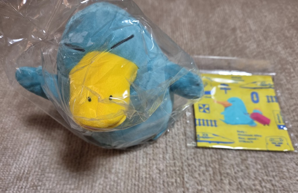 投稿写真