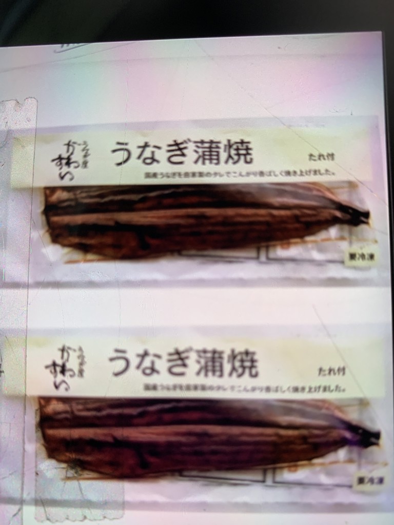 投稿写真