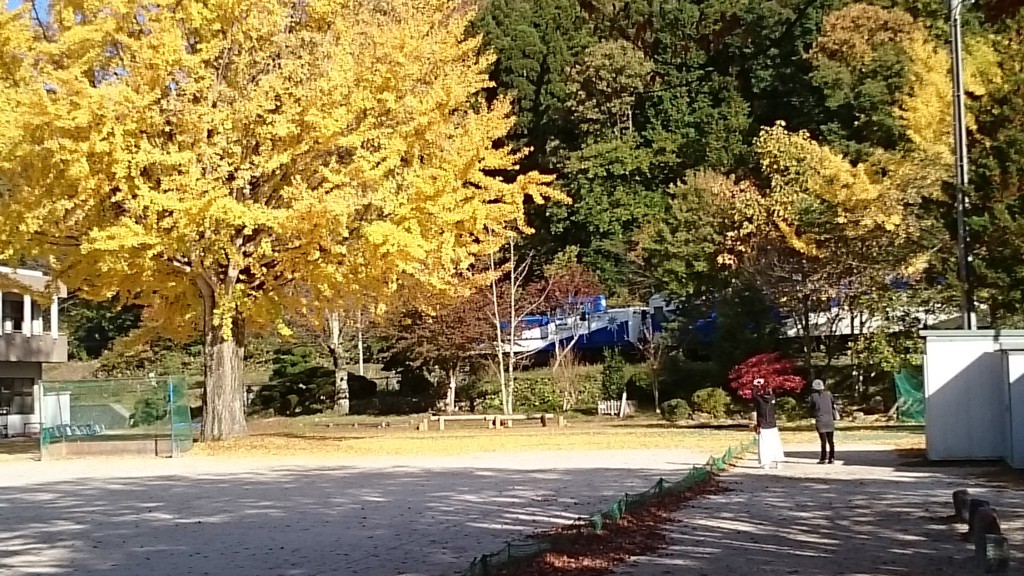 投稿写真