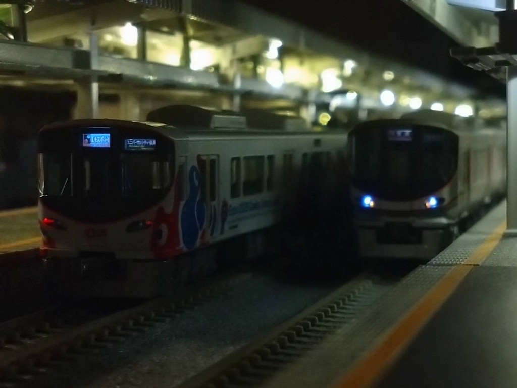 投稿写真