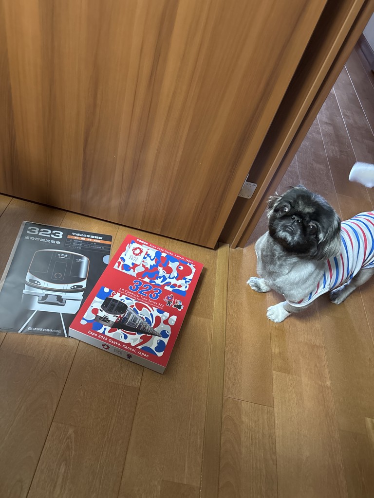 ユーザー写真