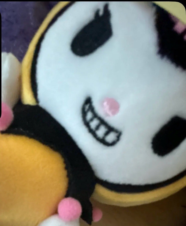 投稿写真