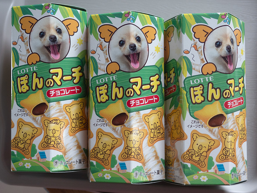 ユーザー写真