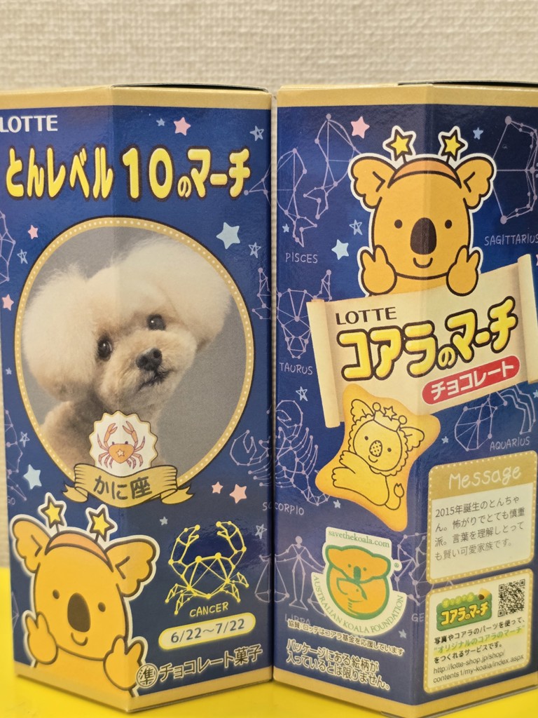 投稿写真