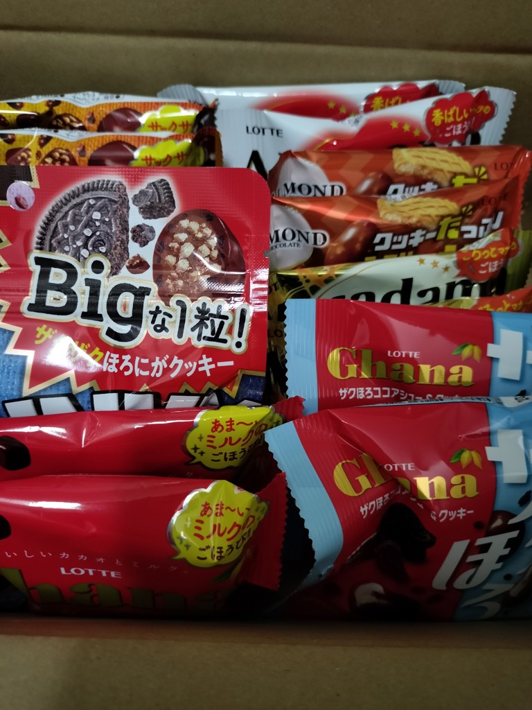 投稿写真