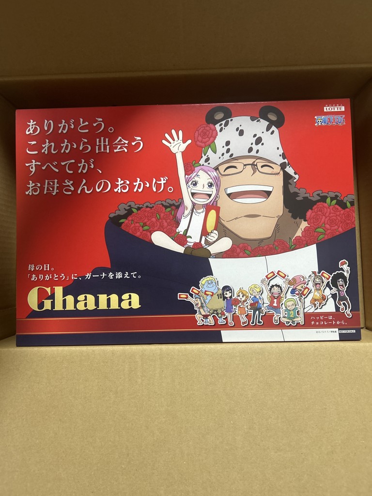 投稿写真
