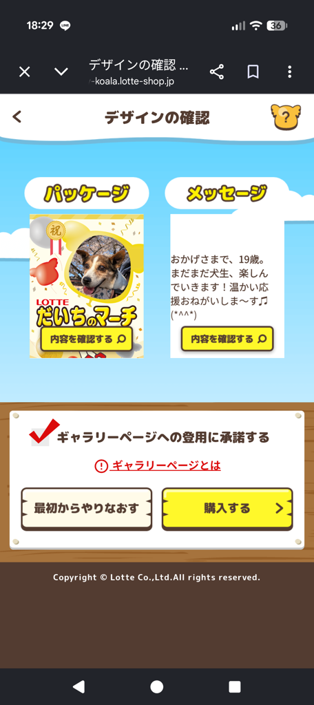 投稿写真