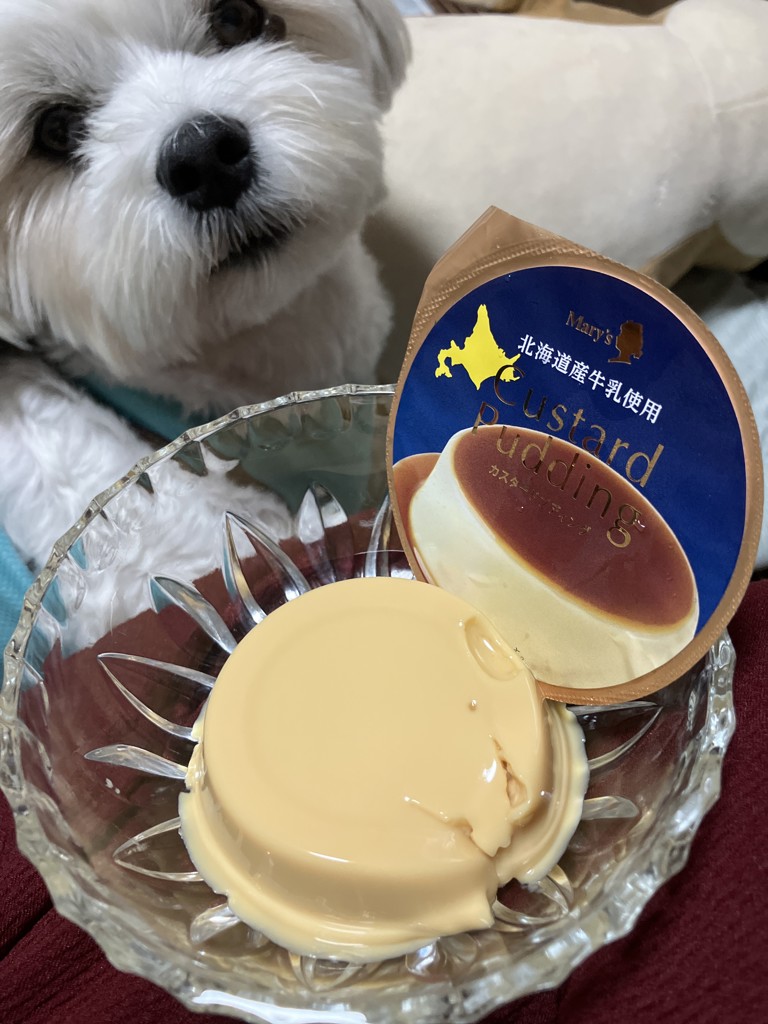 投稿写真
