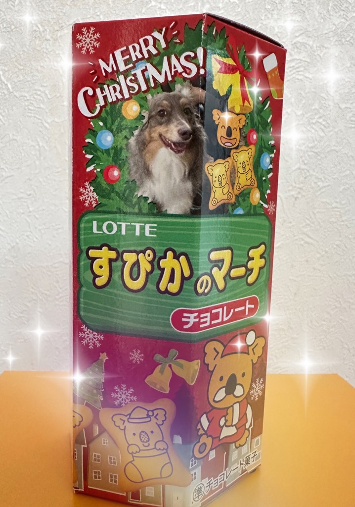 ユーザー写真