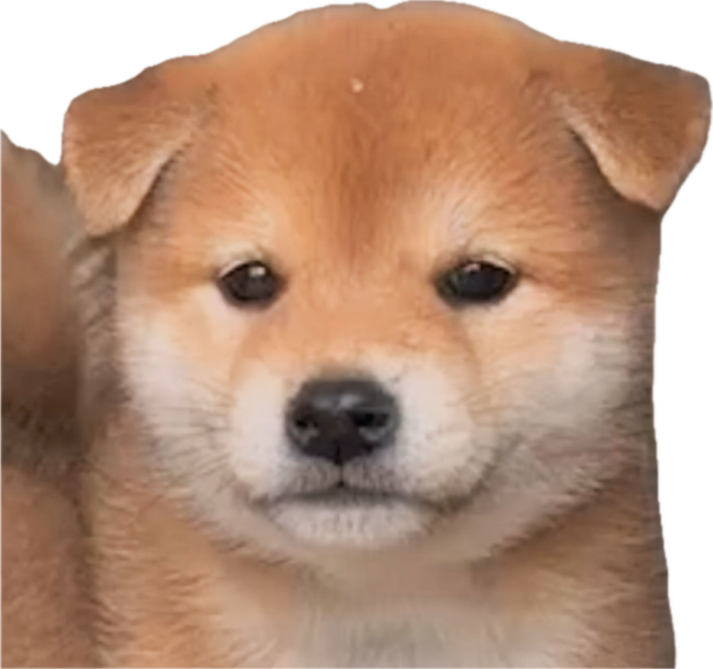 ユーザー写真