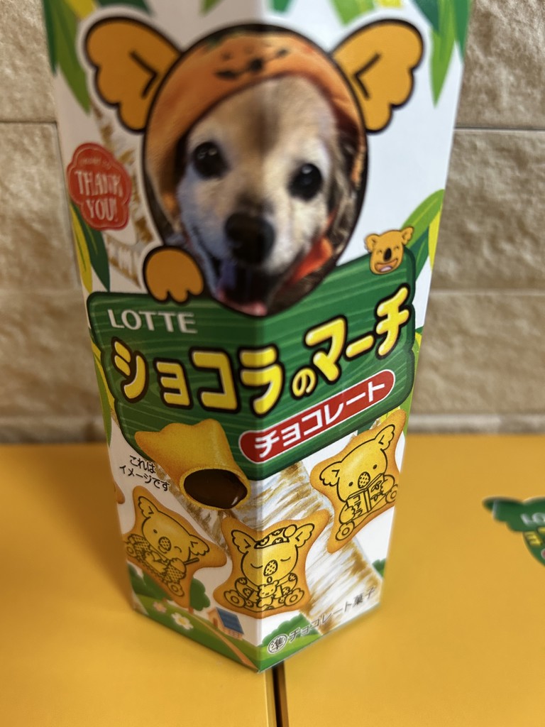 ユーザー写真