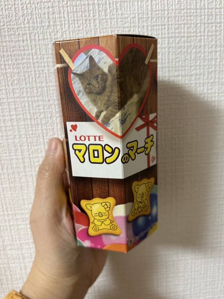 投稿写真