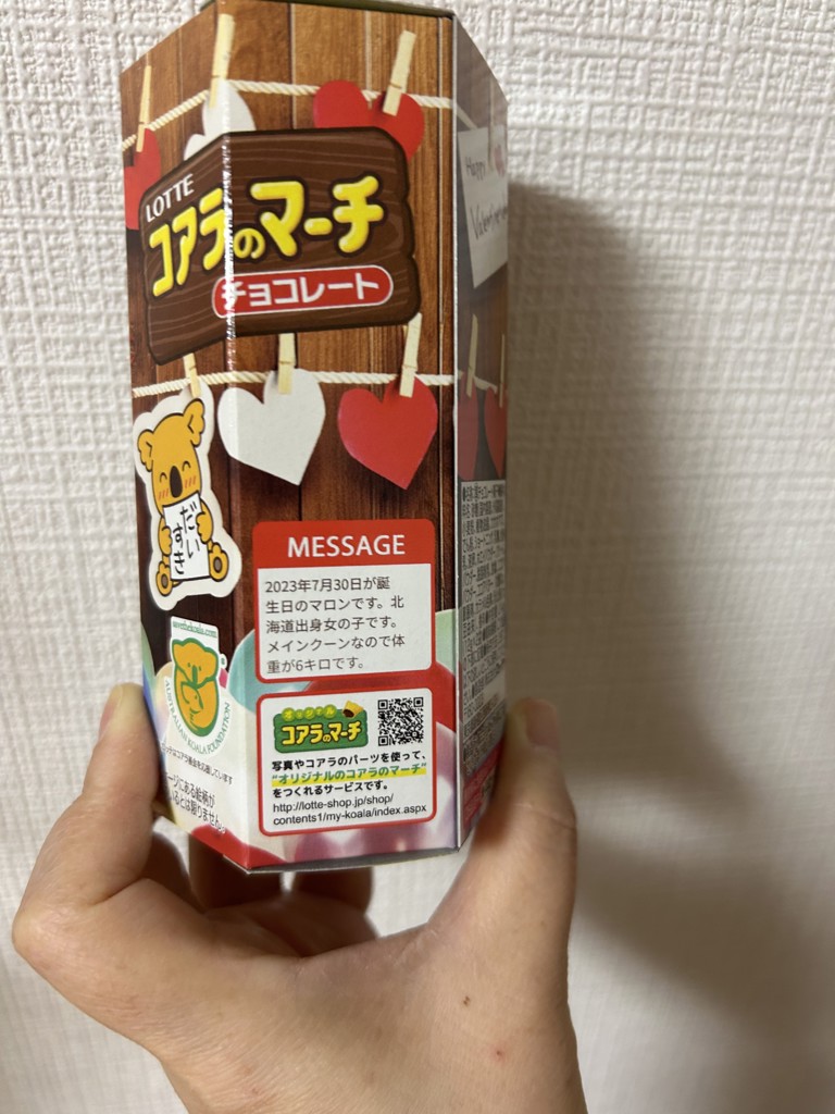 投稿写真
