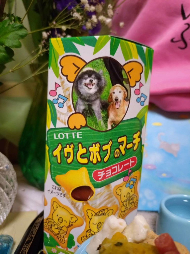 投稿写真