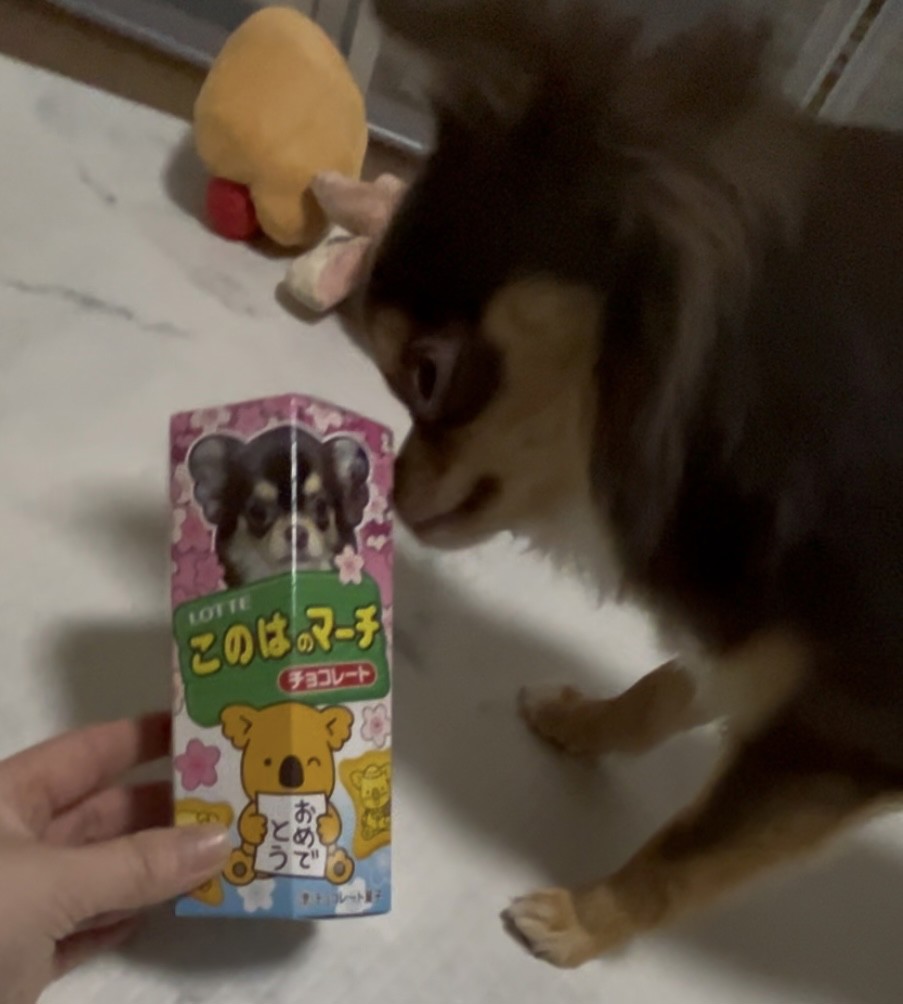 投稿写真