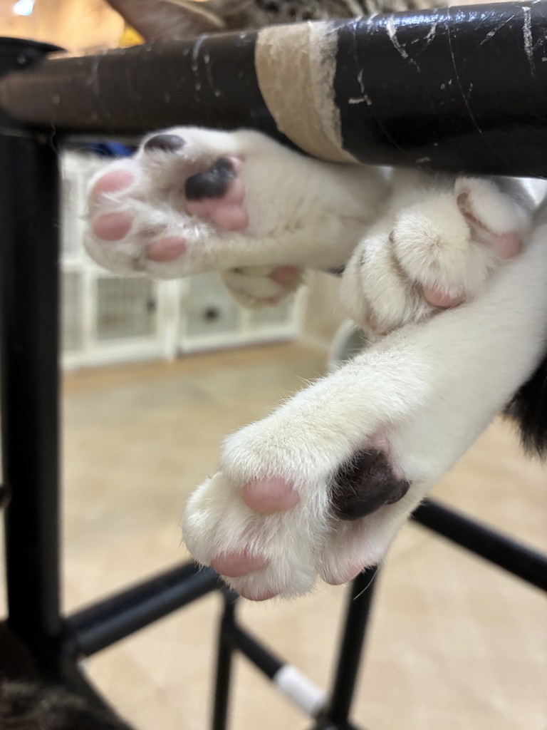 ユーザー写真