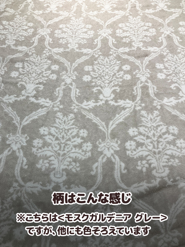 ユーザー写真