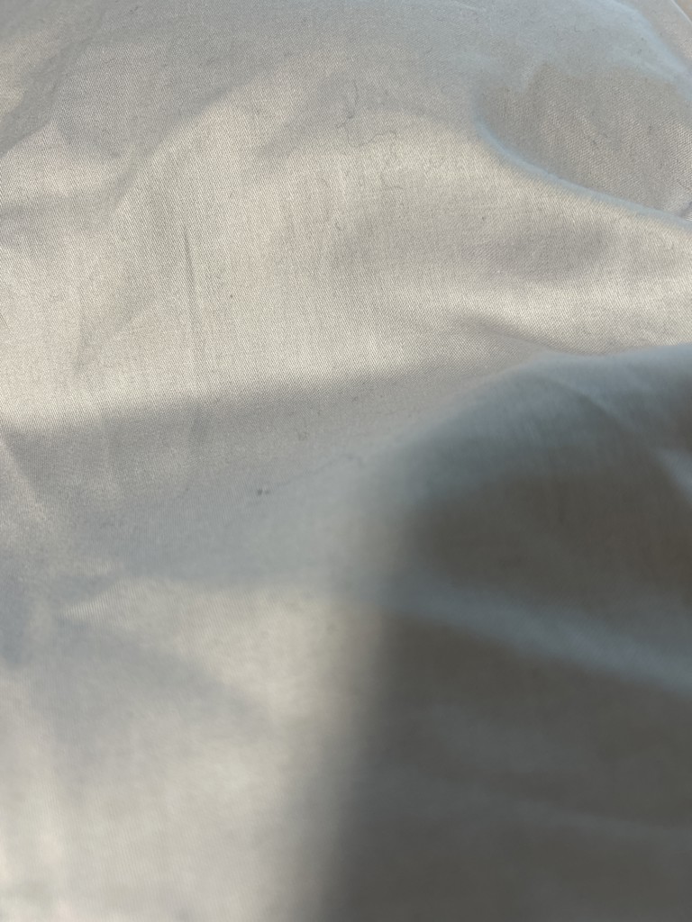 投稿写真