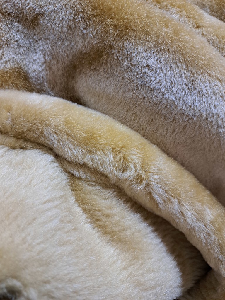 投稿写真