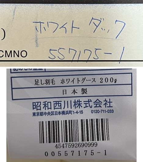 投稿写真