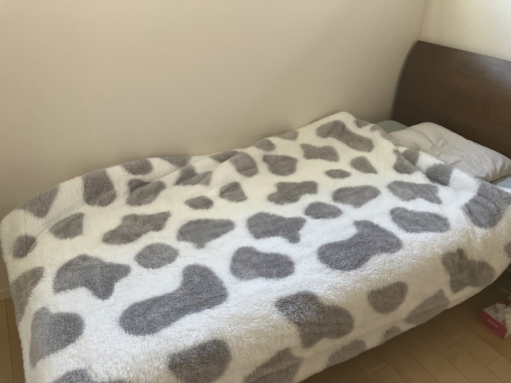 投稿写真