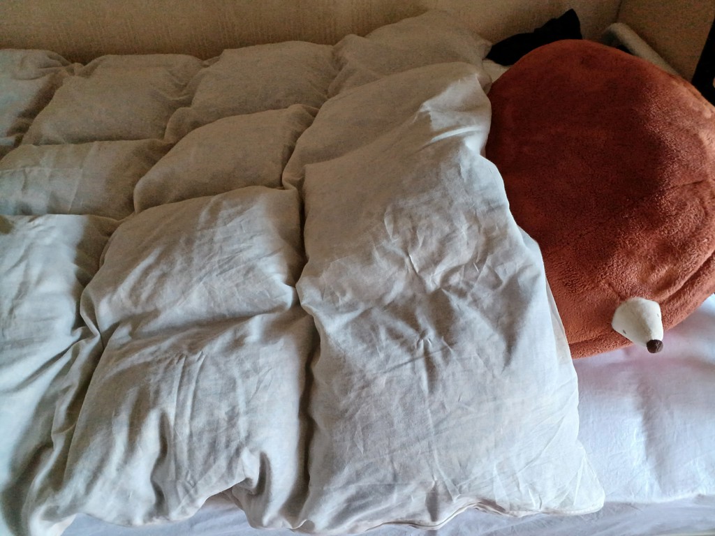 投稿写真