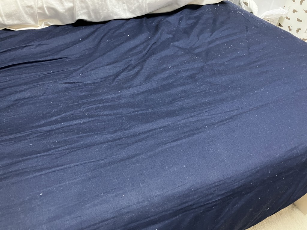 投稿写真