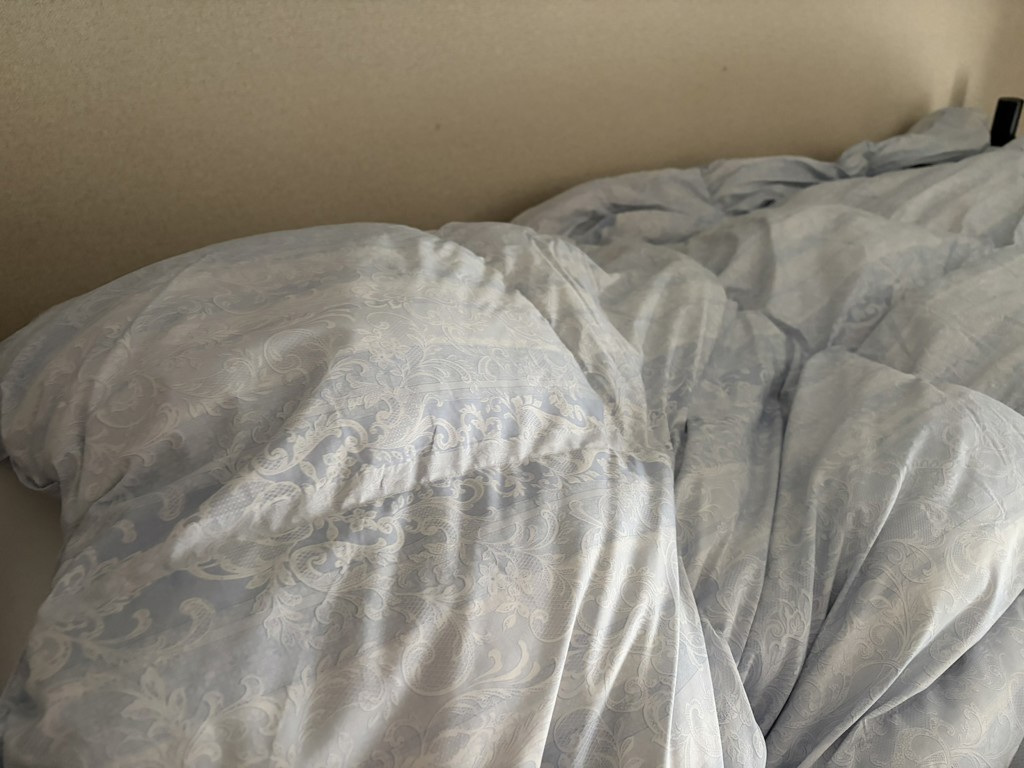 投稿写真