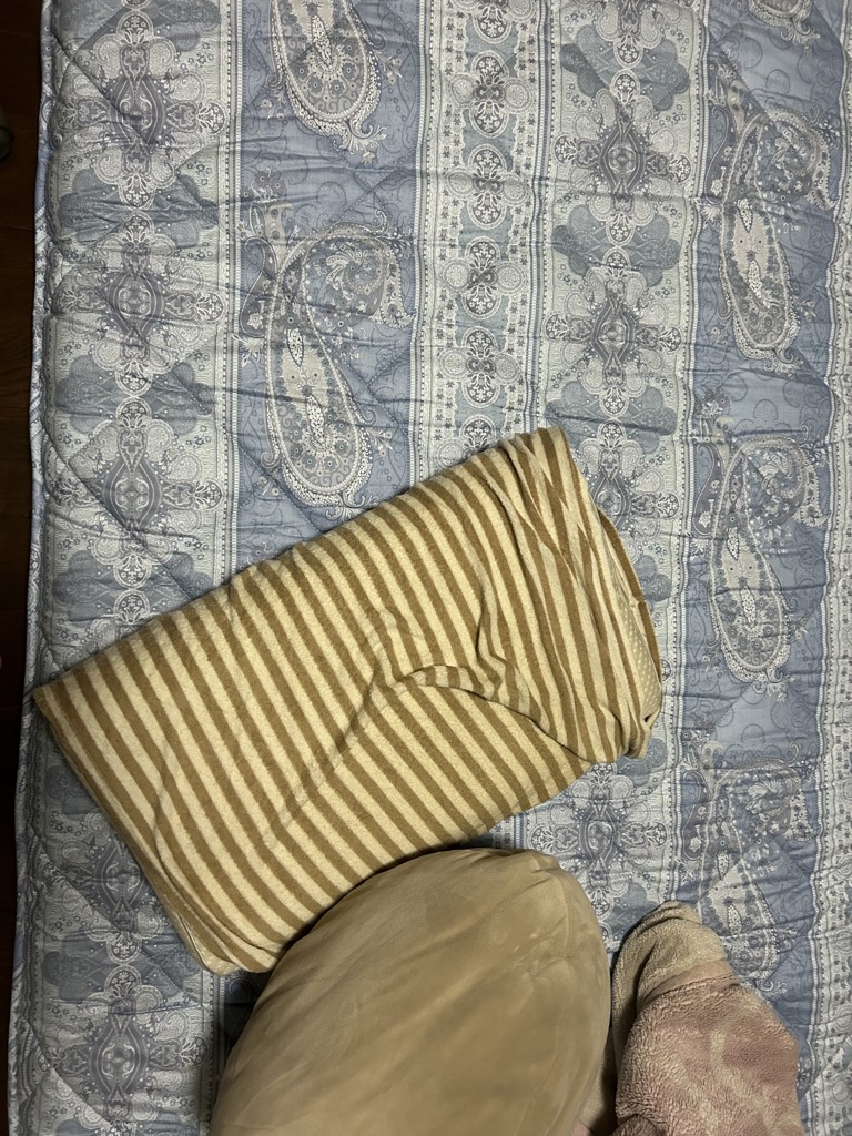 投稿写真