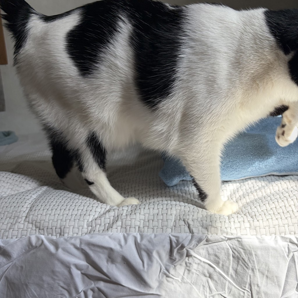 ユーザー写真
