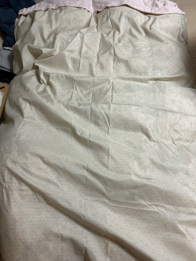 投稿写真