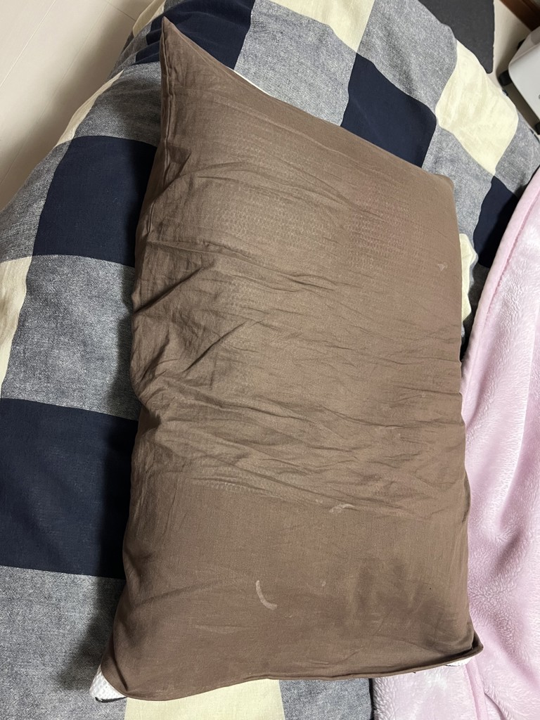 投稿写真