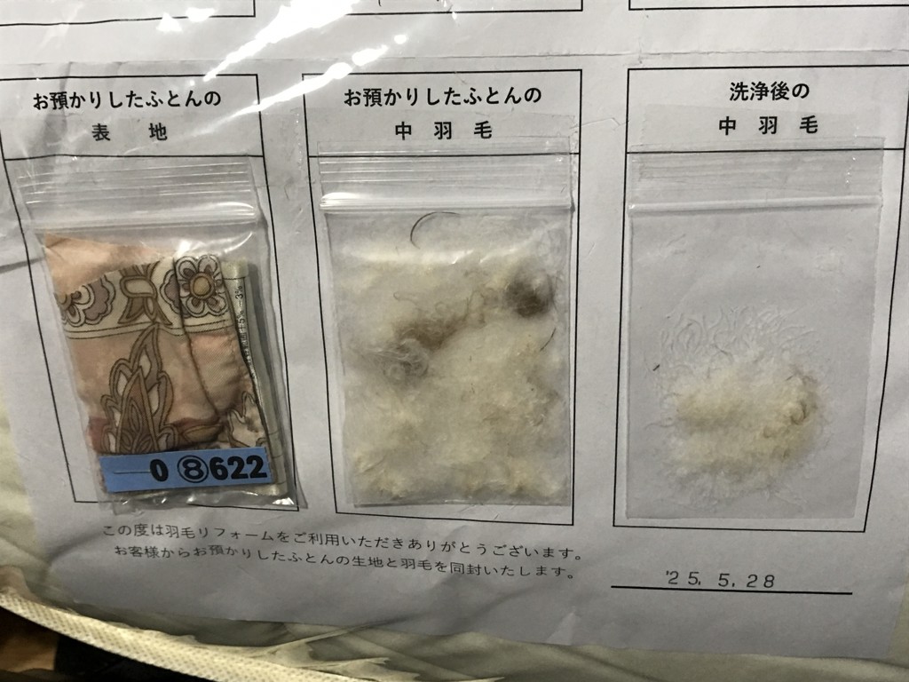 投稿写真