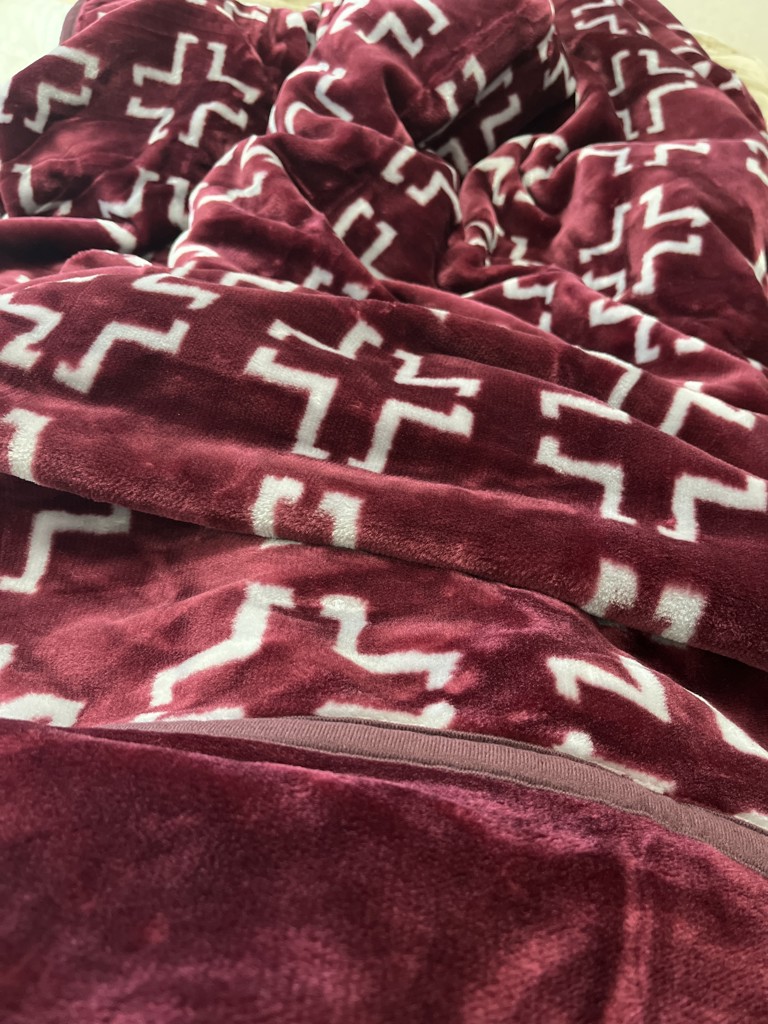 投稿写真