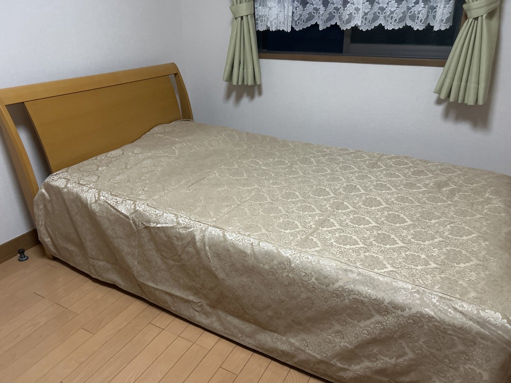 投稿写真