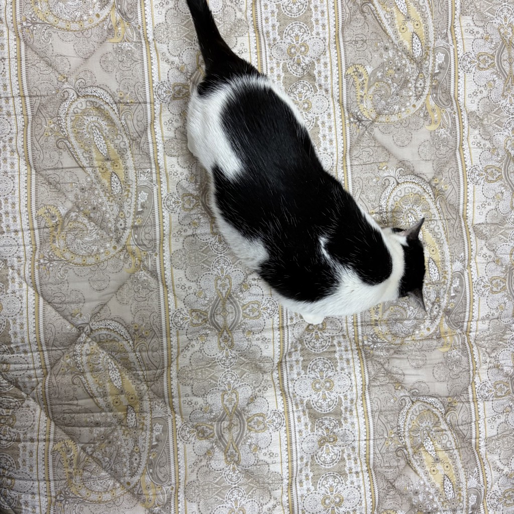 ユーザー写真
