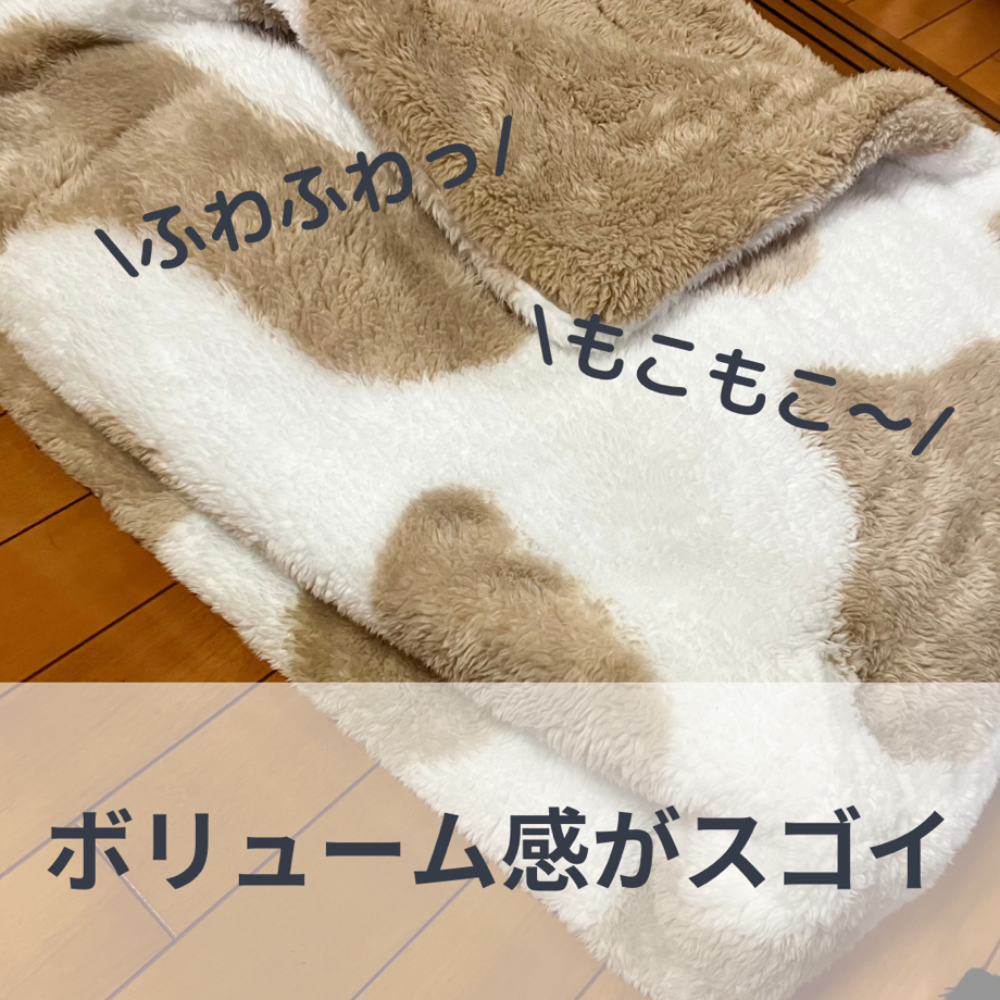 ユーザー写真
