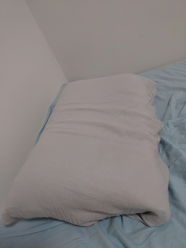 投稿写真