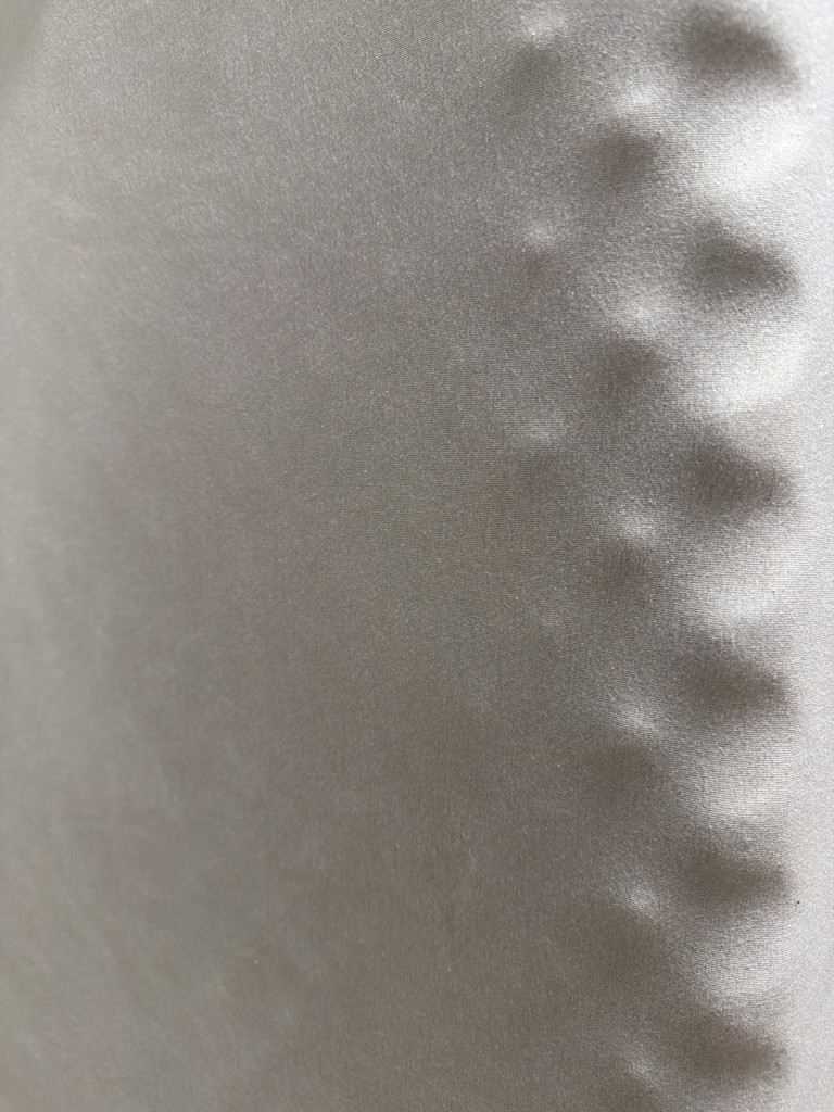 投稿写真