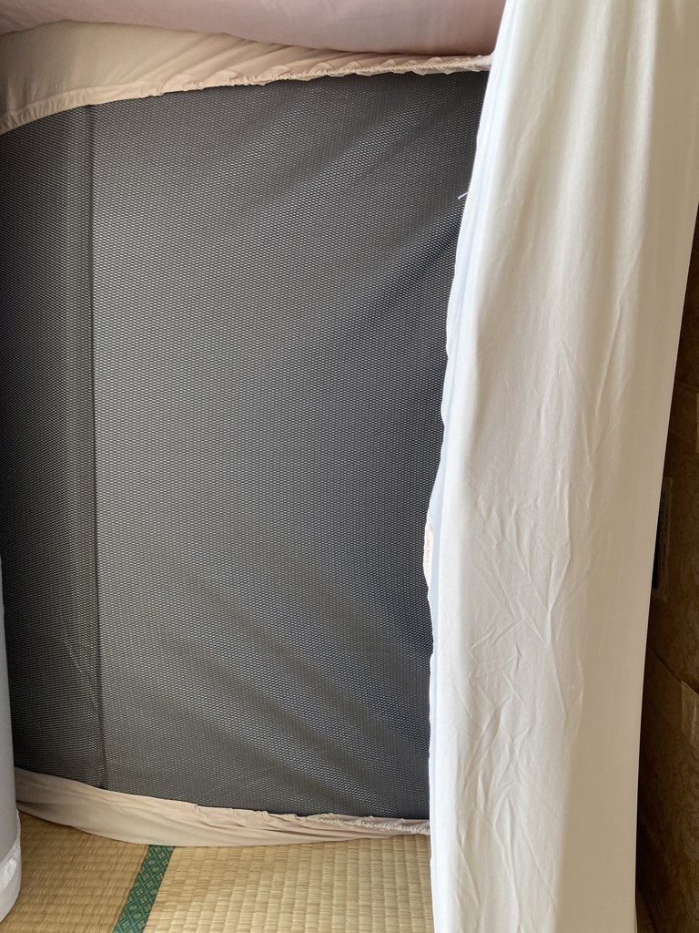 投稿写真