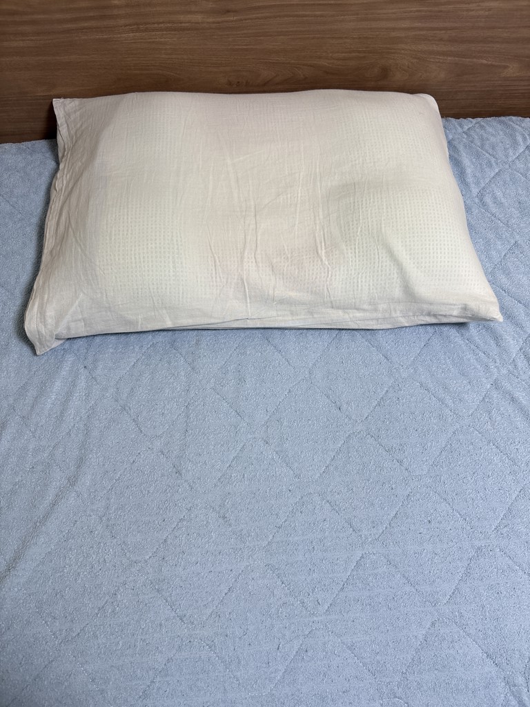 投稿写真